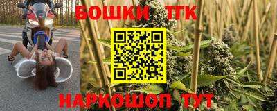 гашик Обь