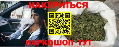 СК Новодвинск