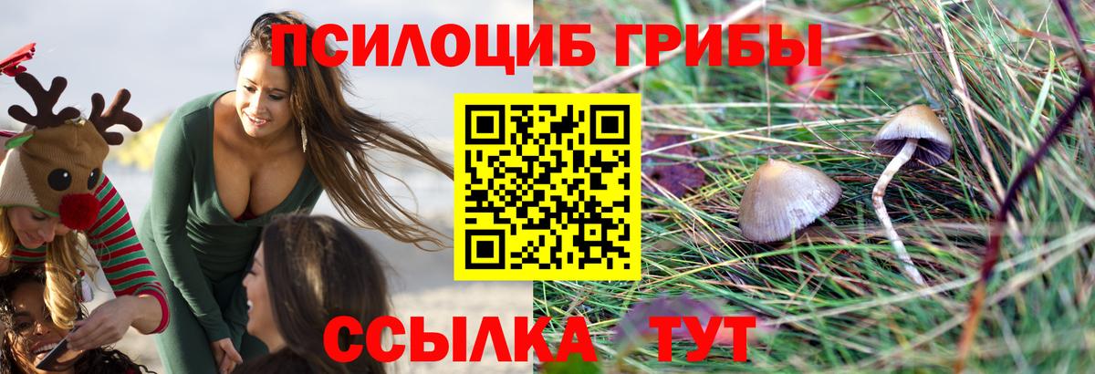 Галлюциногенные грибы Magic Shrooms Строитель
